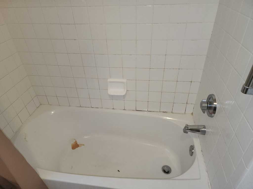 Before cleaning
