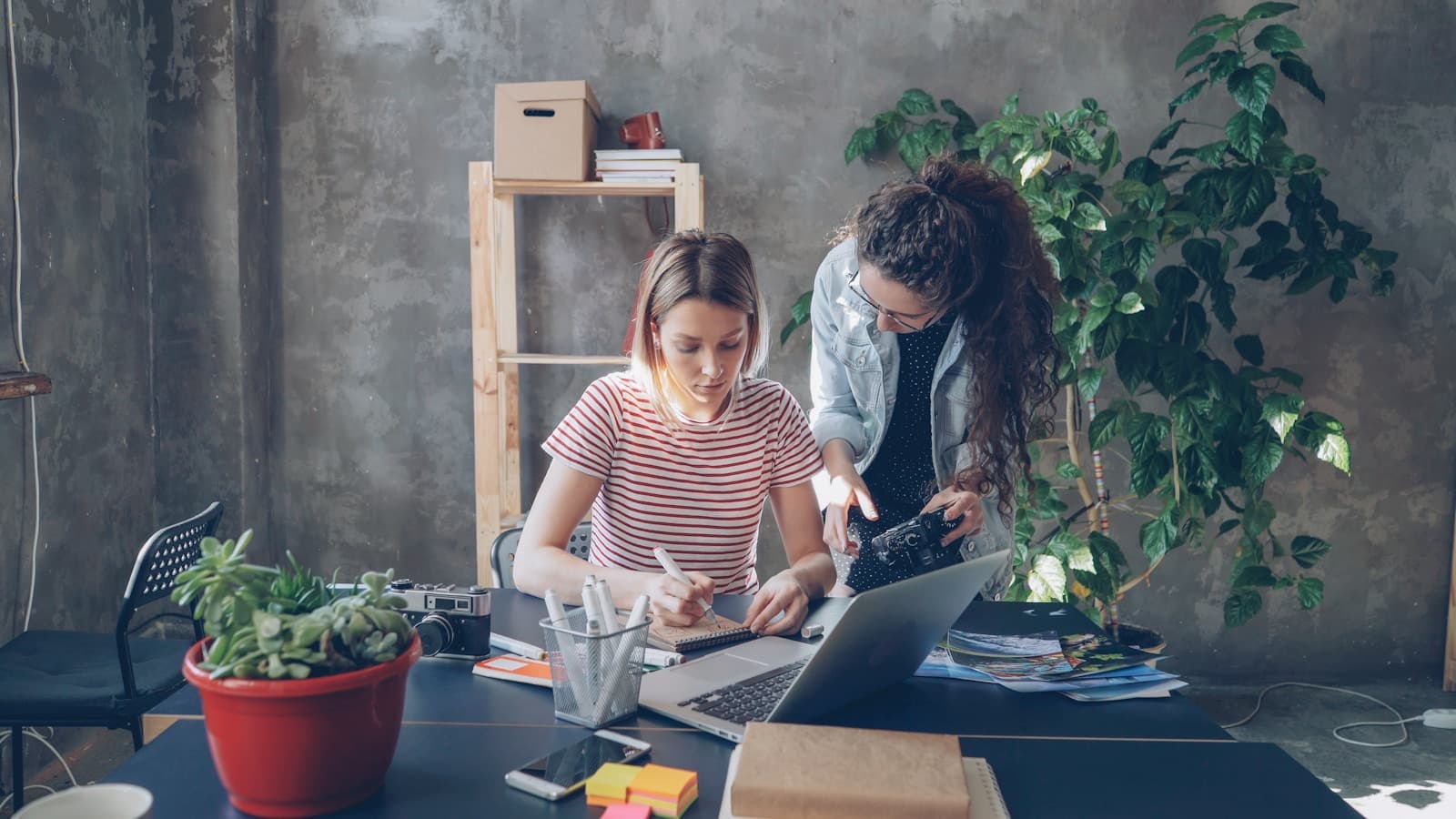 Two women collaborating at a sunlit desk in a professional setting